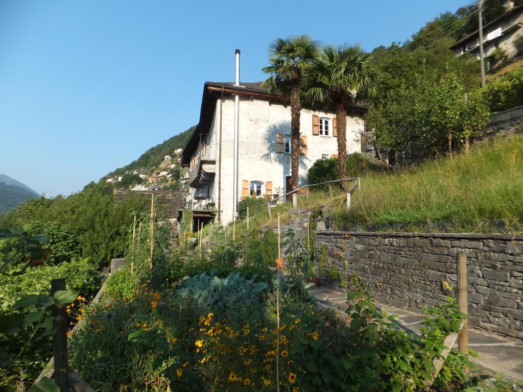 Casa Del Sarto Apartment Intragna Bagian luar foto